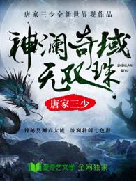 神澜奇域无双珠txt百度
