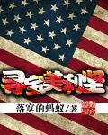 寻宝美利坚TXT免费全本