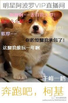blankpink奔跑吧兄弟